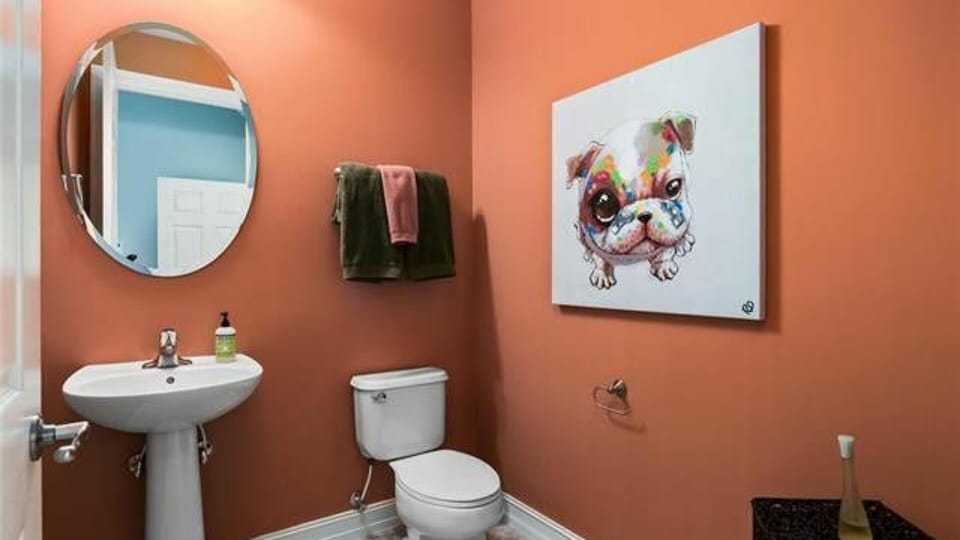 Downstairs half bathroom.