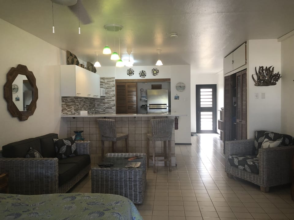 Living area and kitchen bar.