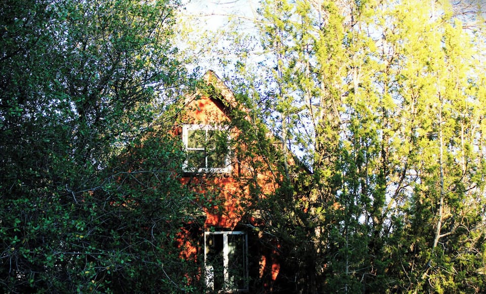 The Playhouse. Off grid tiny house tucked away in the trees.