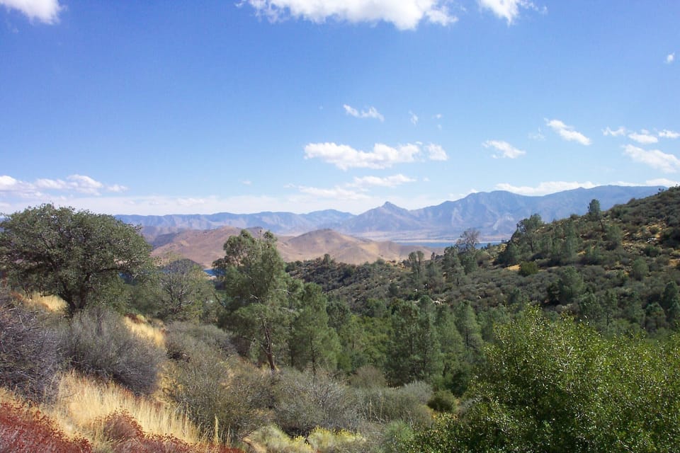 The view from the upper part of the property.