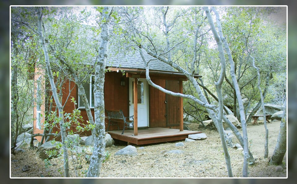 The Playhouse. Off grid tiny house tucked away in the trees.