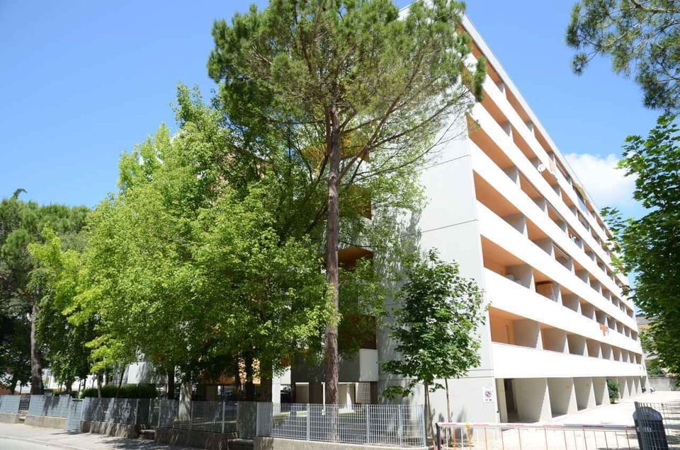 external view