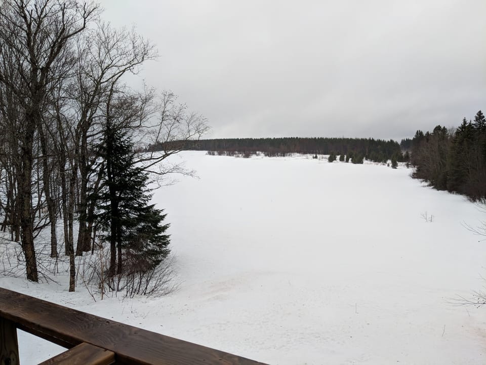 Winter view at the back of the apartment