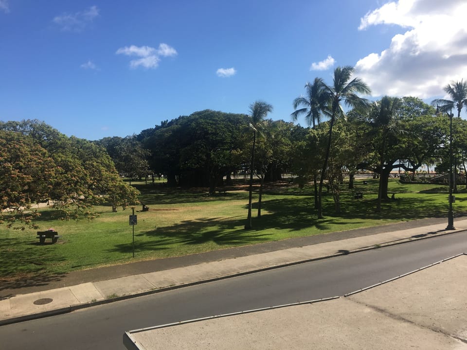The view from your window
