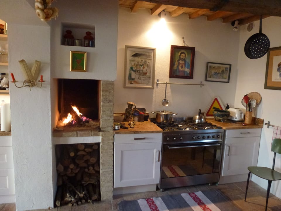 Open fire in kitchen where you can grill fish meat and vegetables 