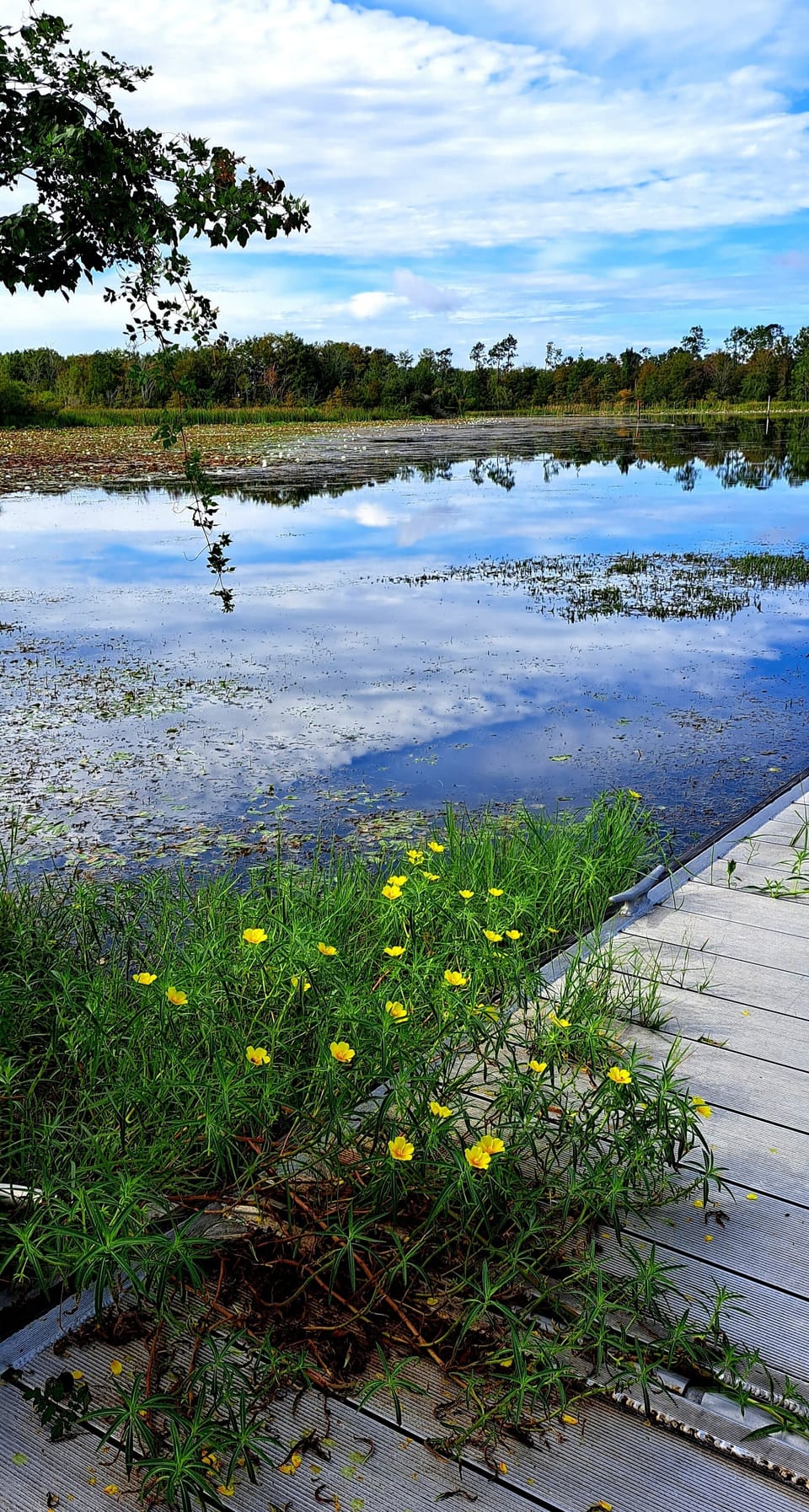 1 mile away,  public boat ramps @ Big Jims Oyster Bar