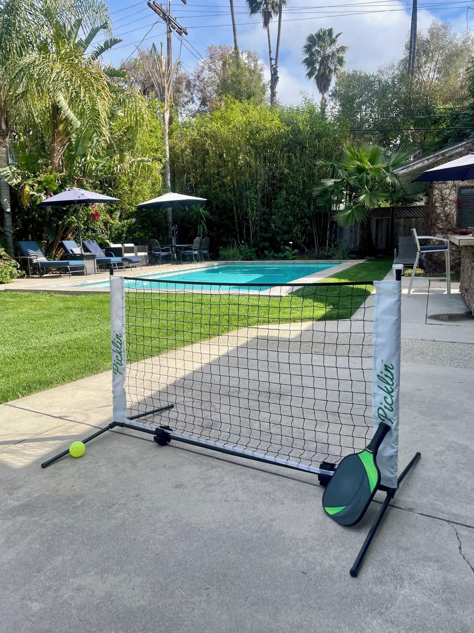 Pickleball practice net !