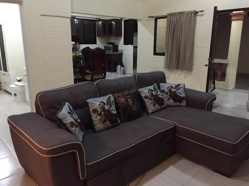 DOUBLE SLEEP SOFA IN LIVING ROOM 