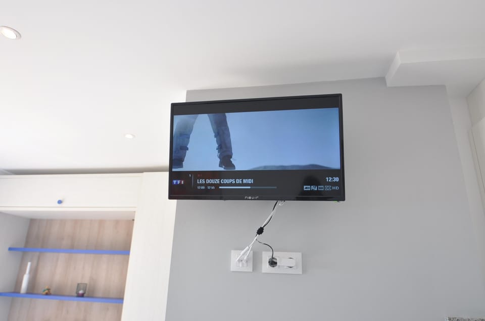 Television