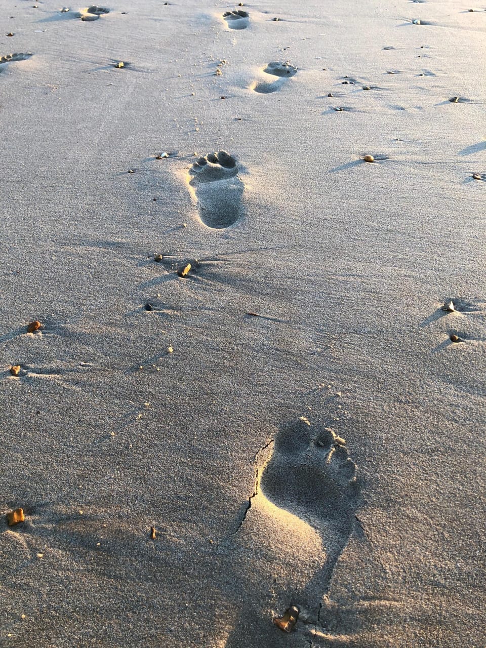 Kick off your shoes and indulge in the feel of soft sand between your toes.