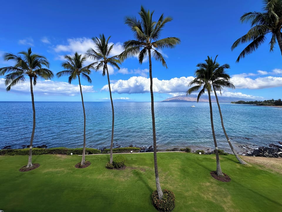 Open grassy areas for relaxation and enjoyment.