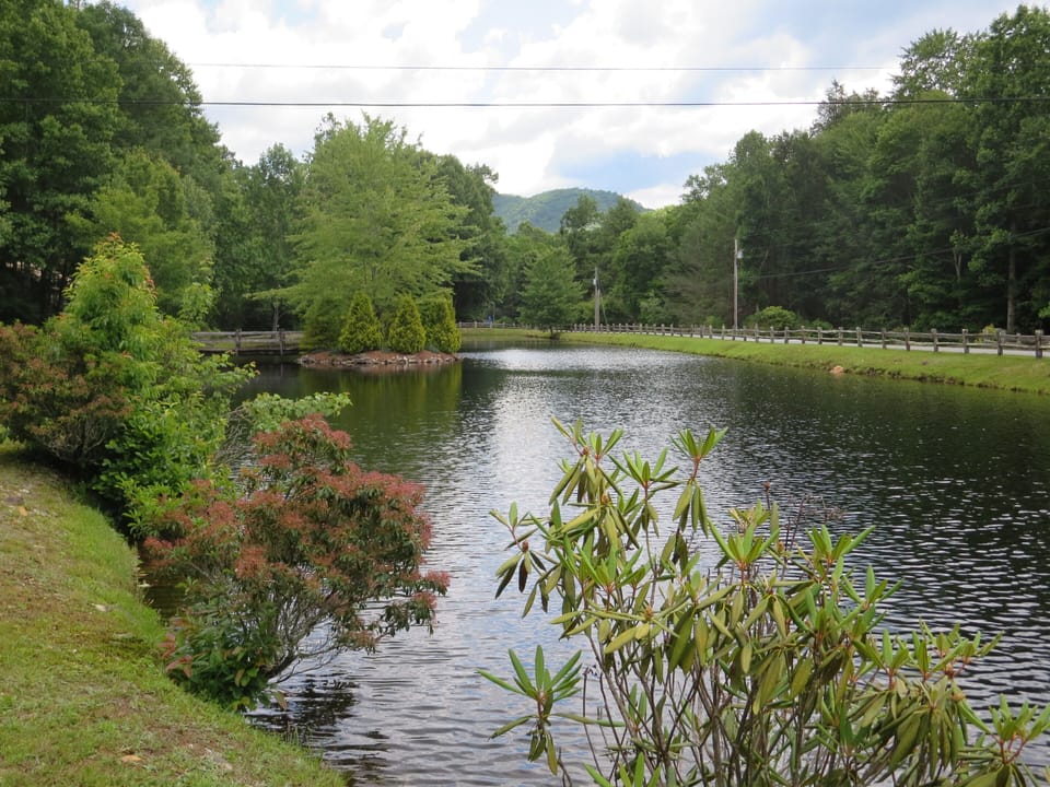 Beautiful pond out front .