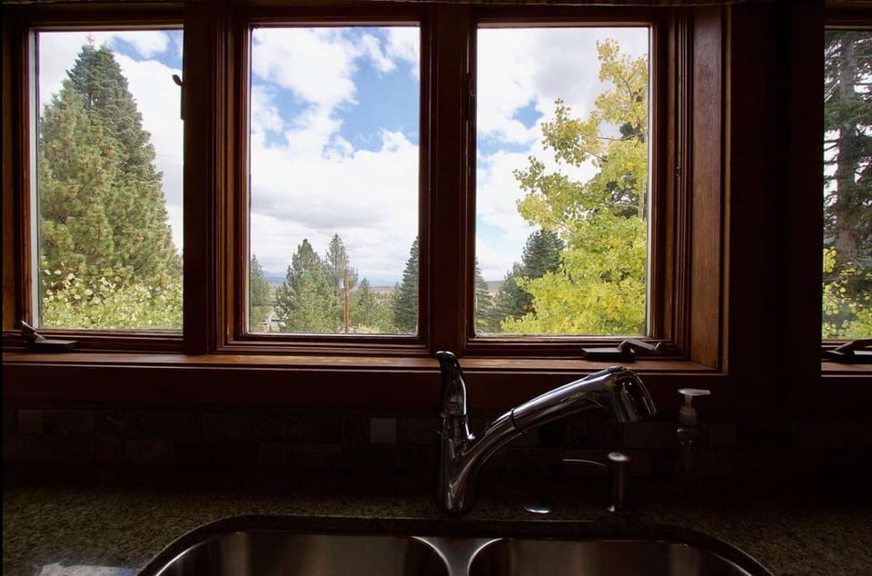 View from the kitchen