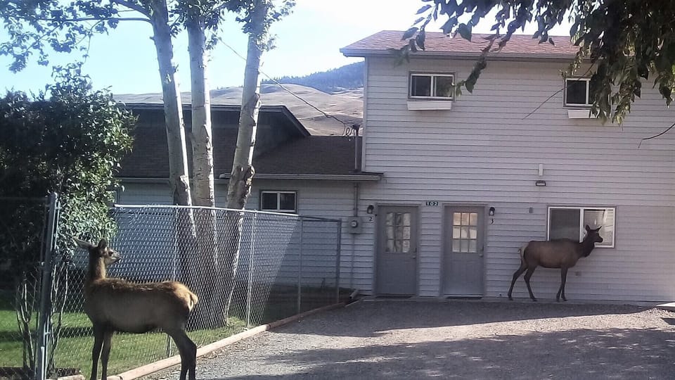Anybody home?