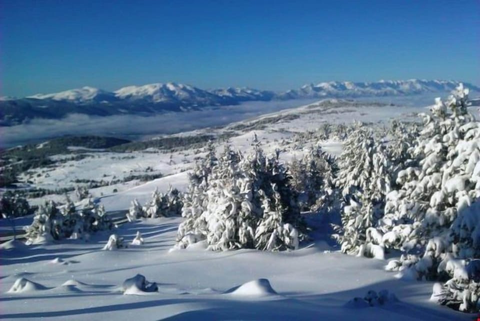 This area is perfect in winter or summer.