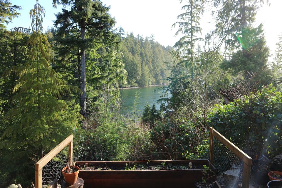 Our backyard