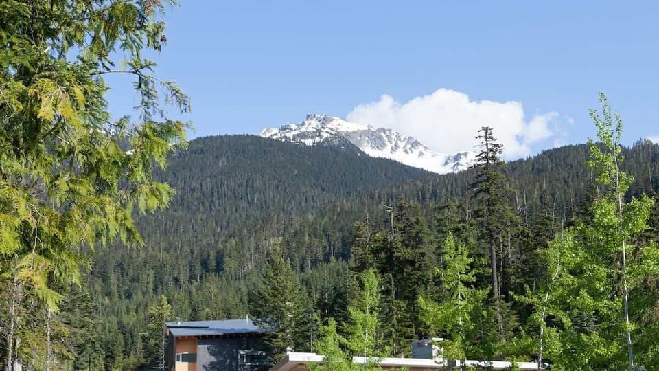 - Majestic mountain peak framed by evergreens and blue skies  
- Scenic alpine landscape perfect for nature lovers and hikers  
- Capture serene beauty right outside your mountain retreat  
