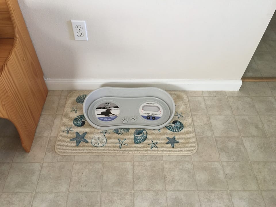 Dog water and food station