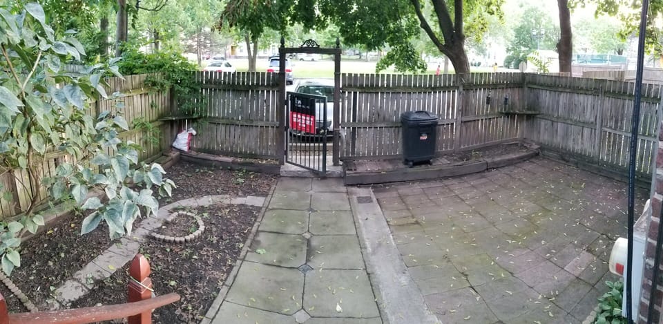 Back Yard
