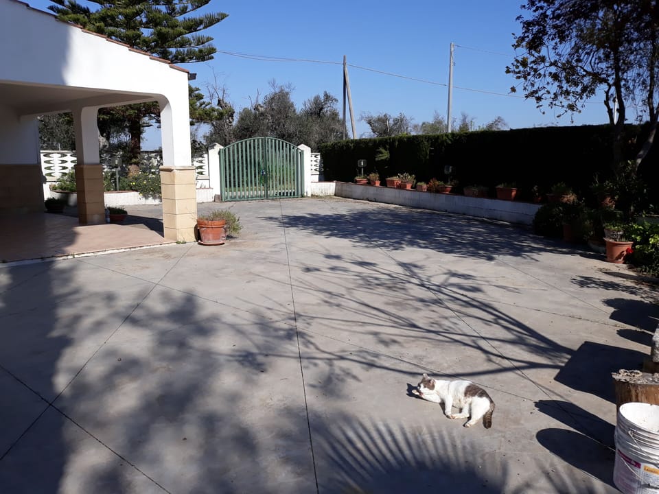 Property grounds