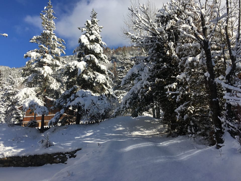 Snow and ski sports