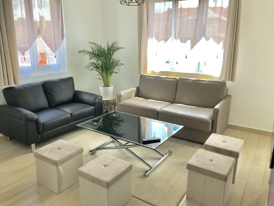 Lovely living room with sofas, TV, Netflix and google TV 