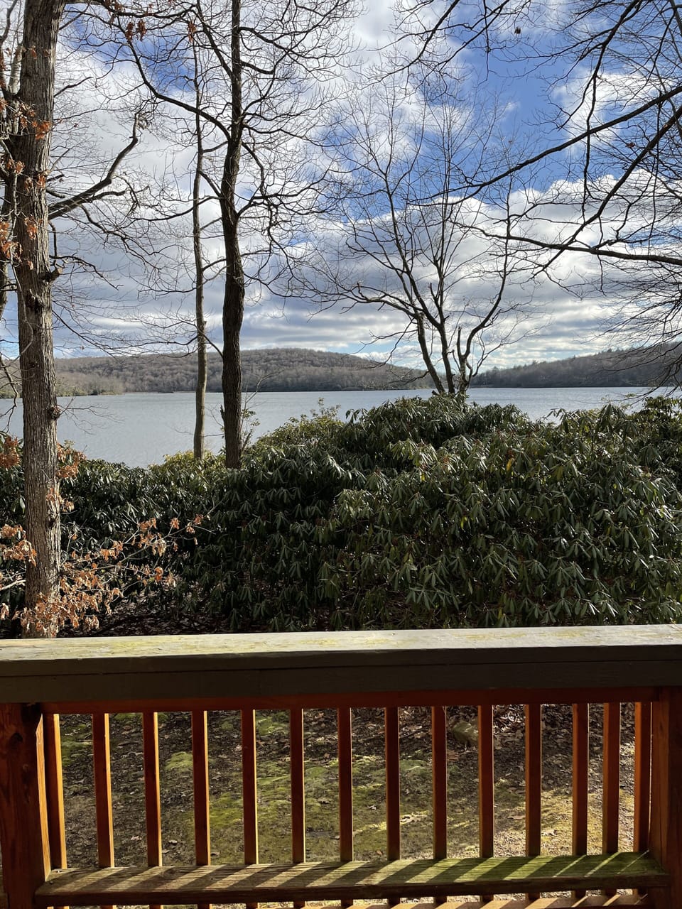 View off the lake off the back deck!