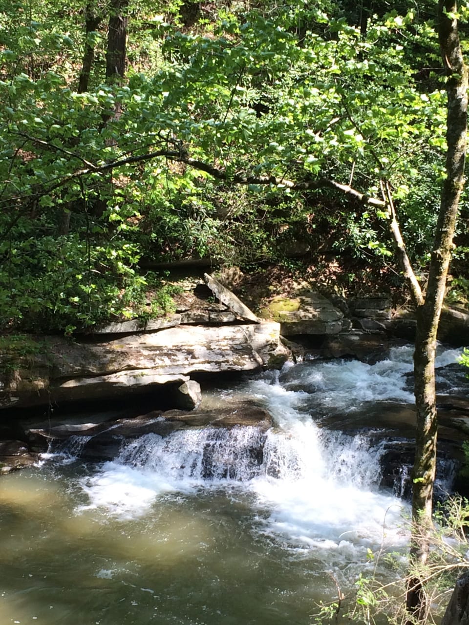 Beautiful creek flows towards Rocky Broad River in Chimney Rock