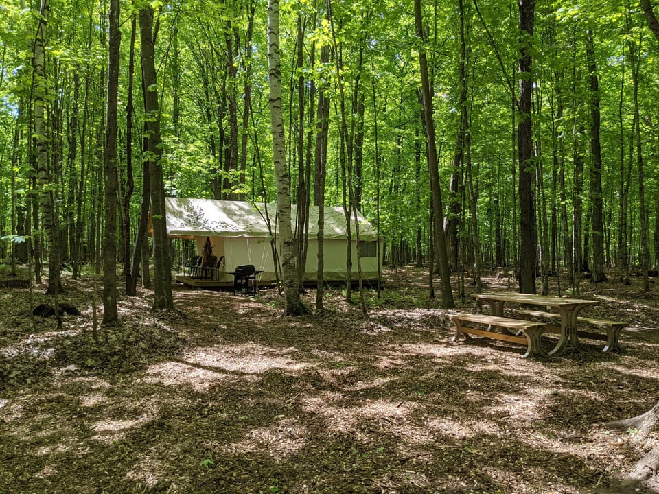 Campsite 7