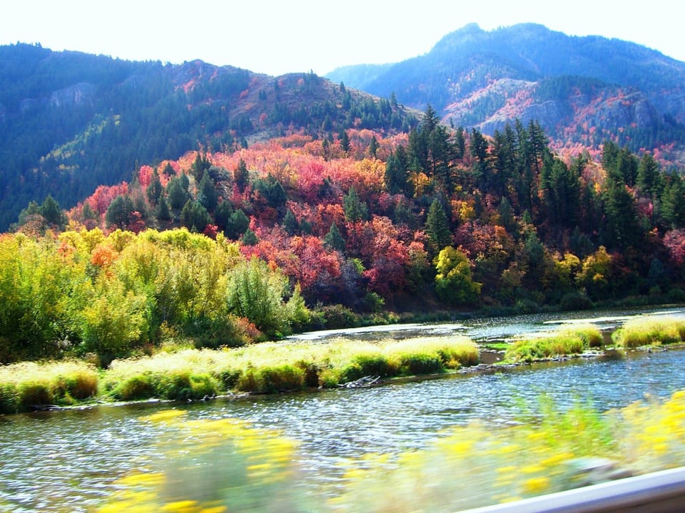 Logan Canyon with Fall Colors