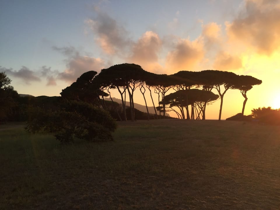 Beautiful old farmhouse near the sea House in Tuscany
