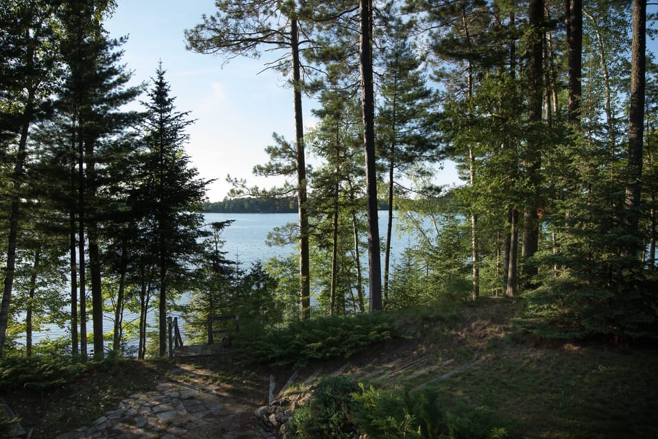 The view from the deck