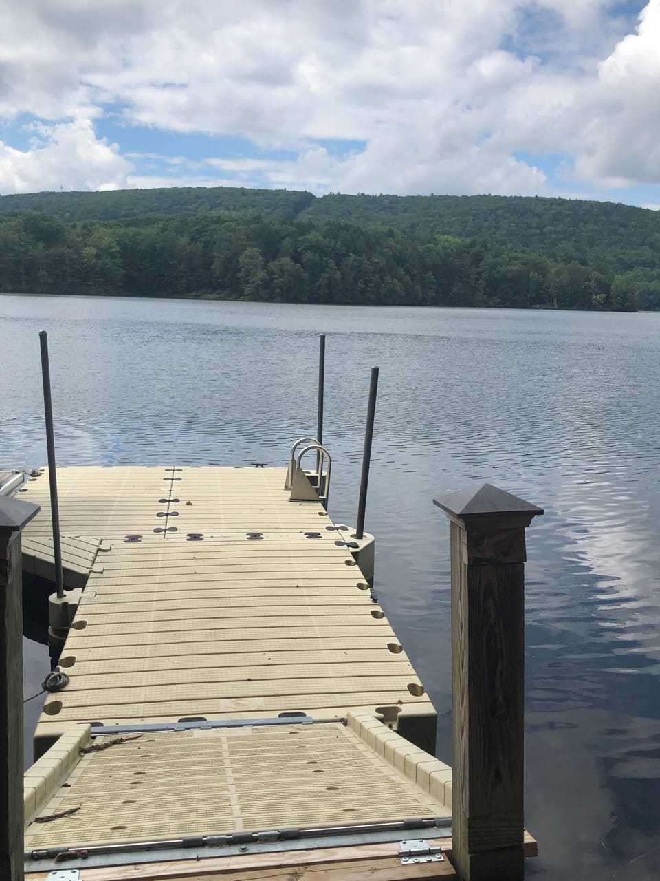 Dock with ladder 