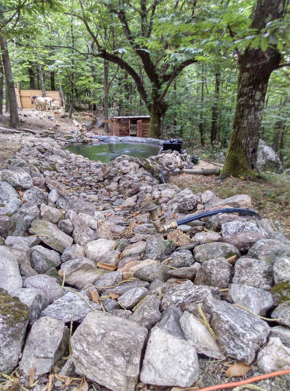 Property grounds