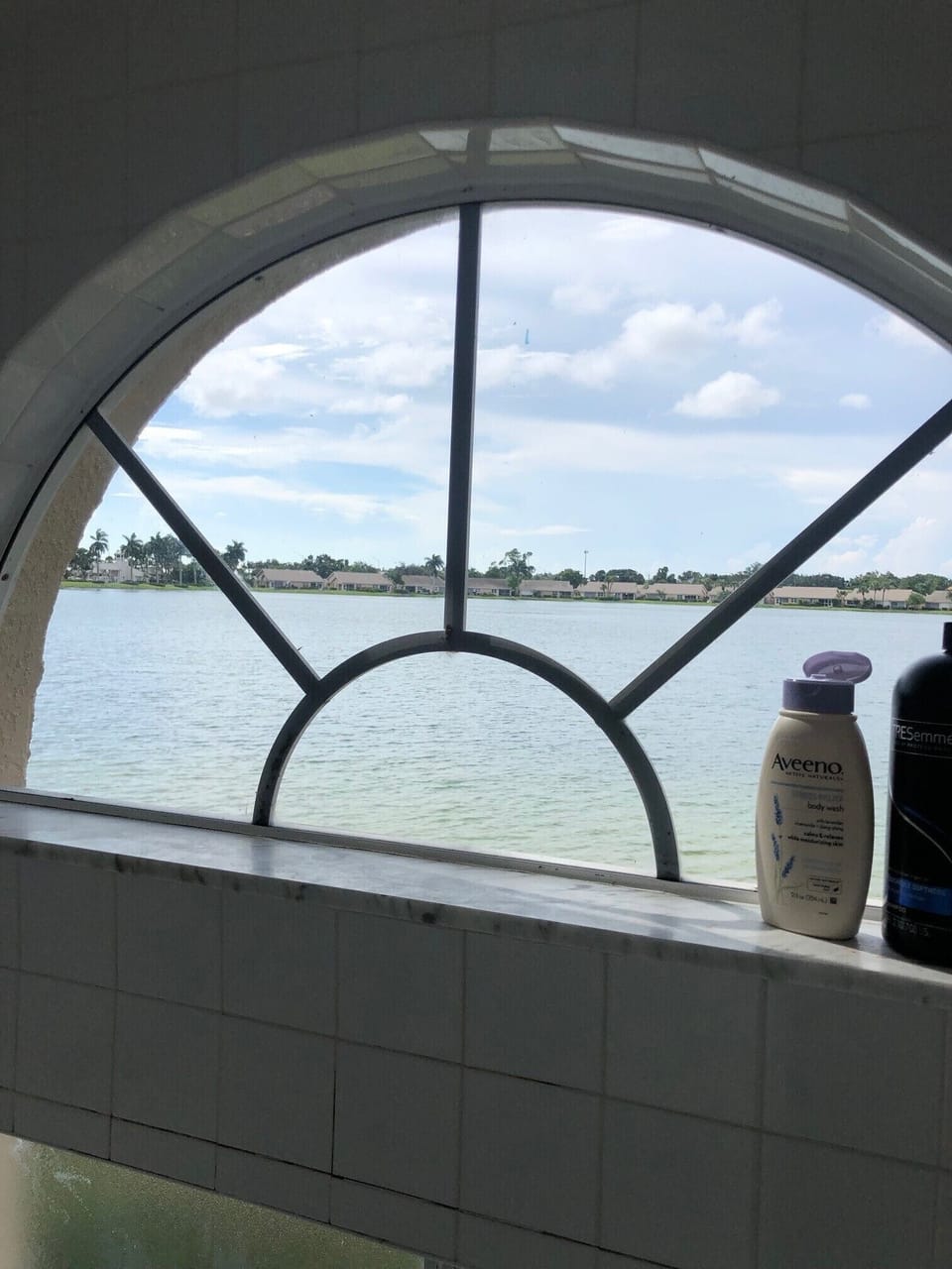 View From Master Shower