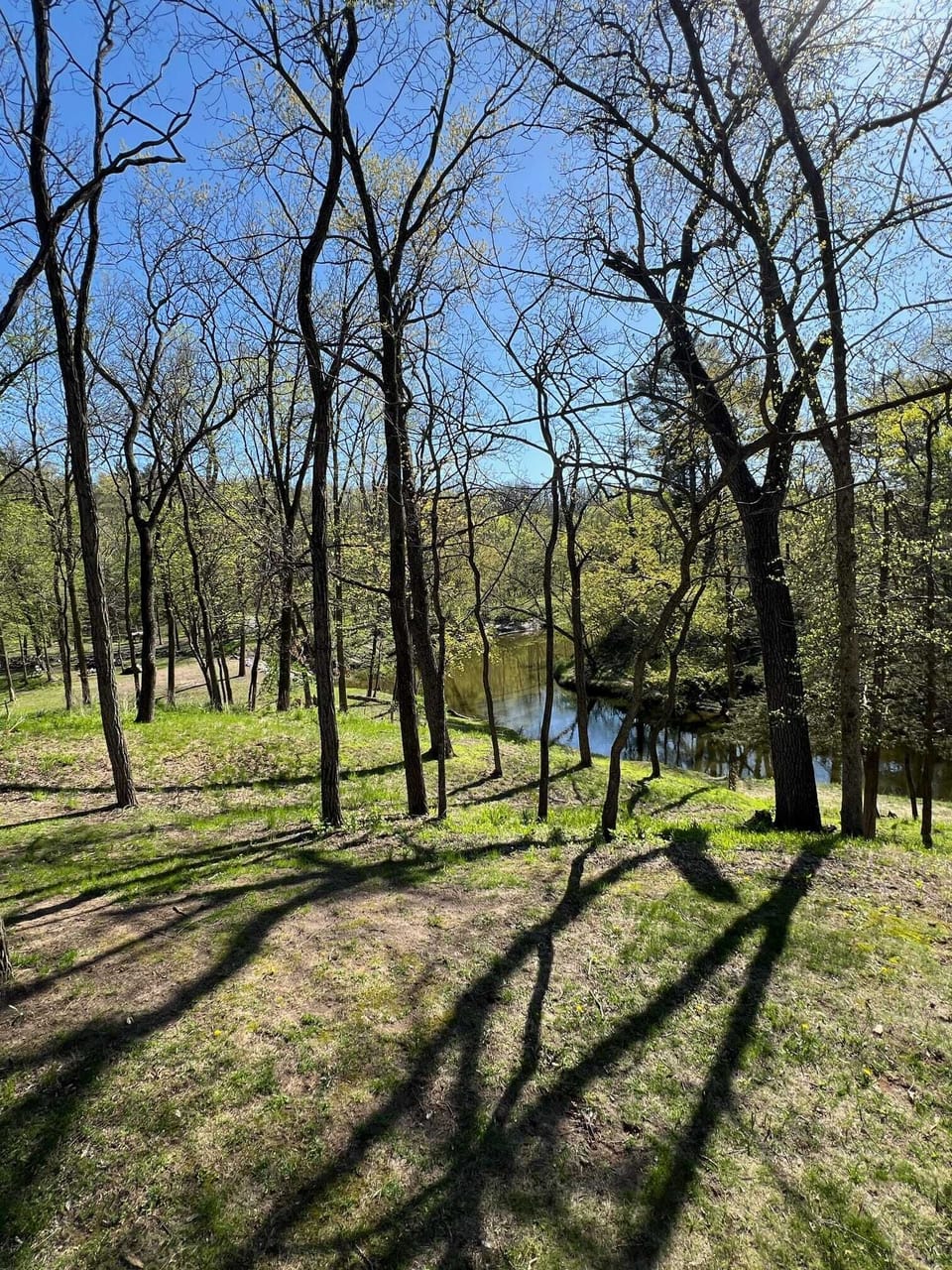Back view of Creek