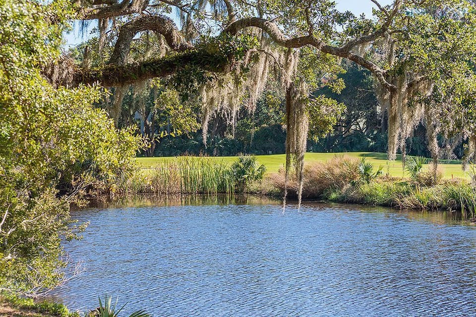 Backyard view.  Osprey course, #13