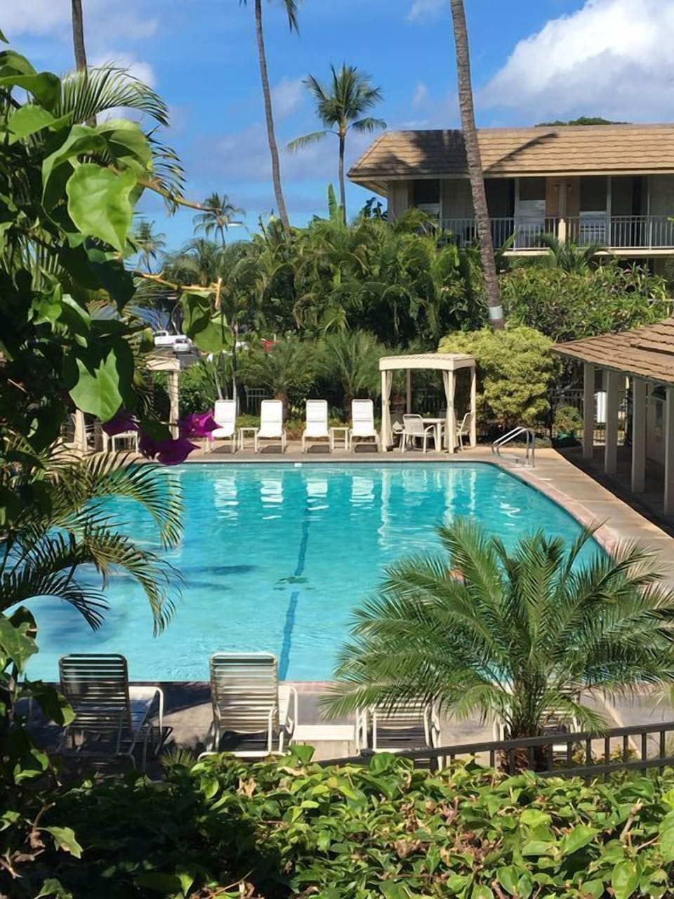 Complex Amenities - Lounge poolside while getting lost in your favorite magazine or novel.