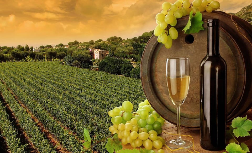 Niagara wine tour
