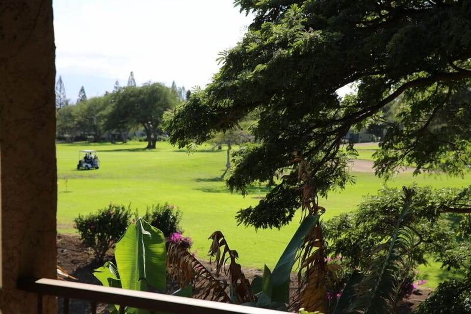 View from Lanai
