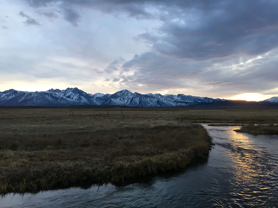 Mammoth at it's finest! 