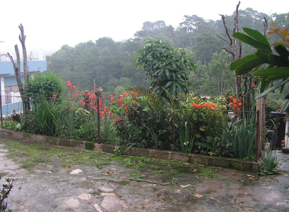 Garden2