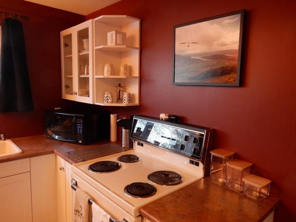 Full size appliances: stove, fridge, dishwasher, microwave