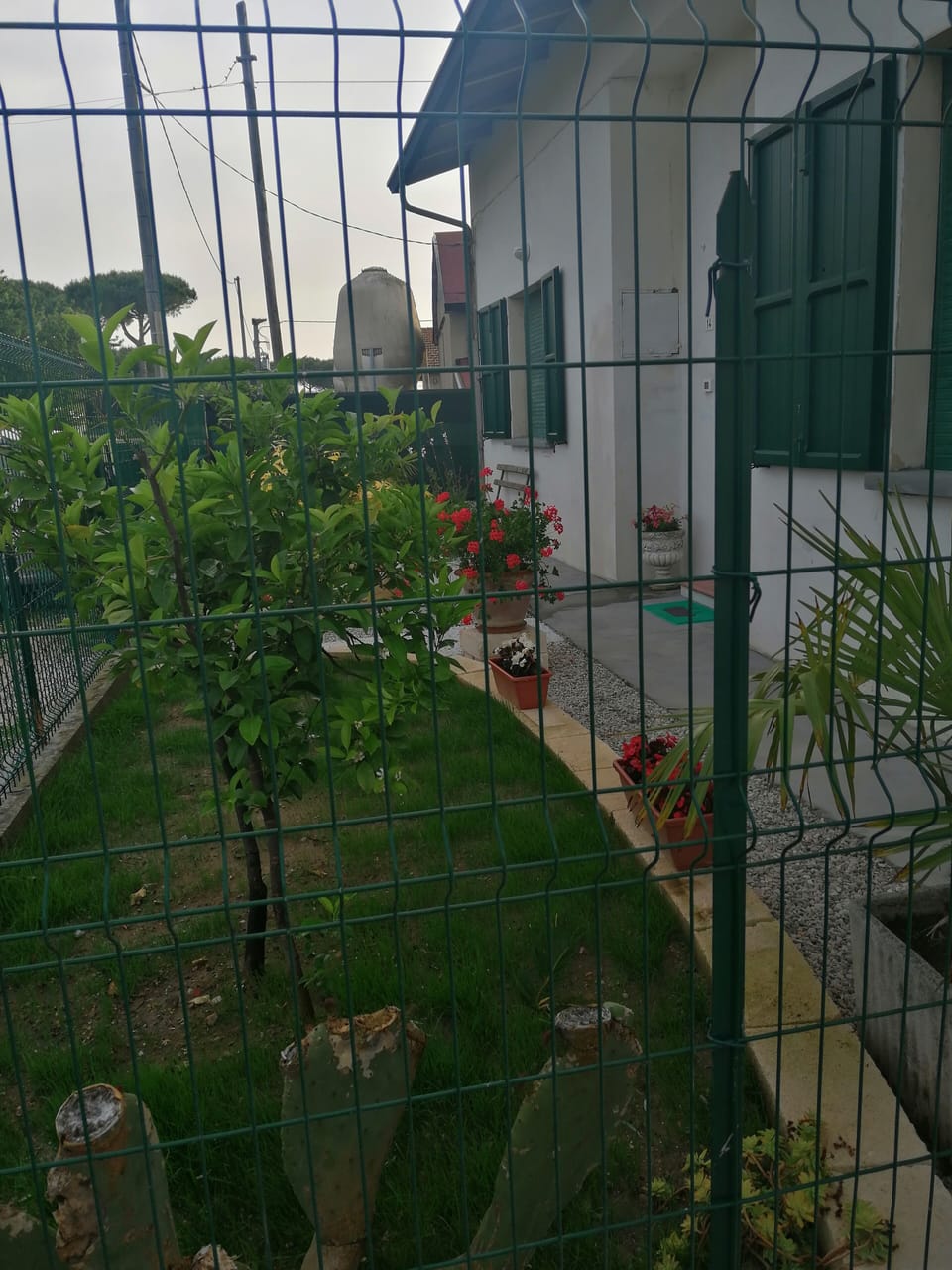 Property grounds