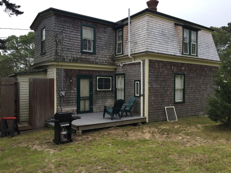 back yard