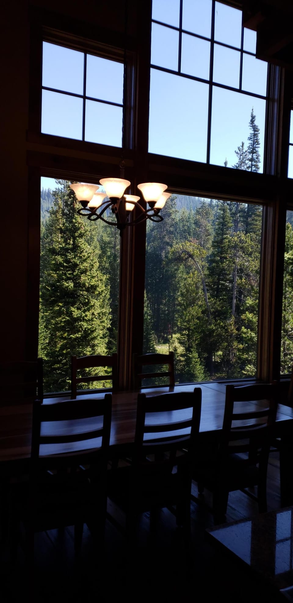 Dining room views!