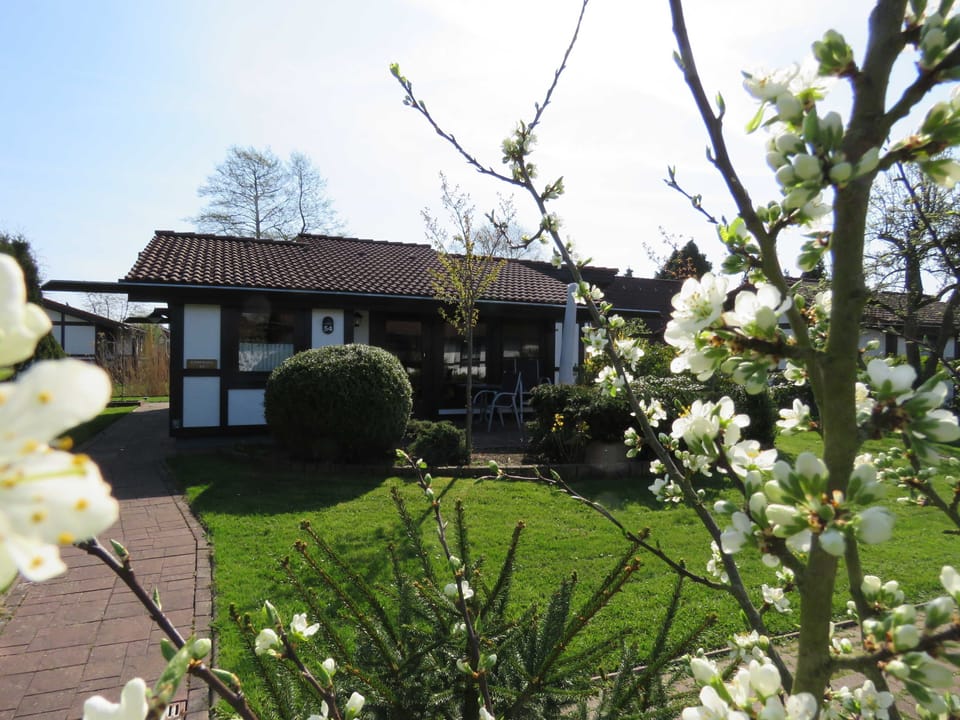 Vacation home 54 Scout 48sqm for max. 6 persons with pet - Holiday home Scout 48 House in Schleswig-Holstein