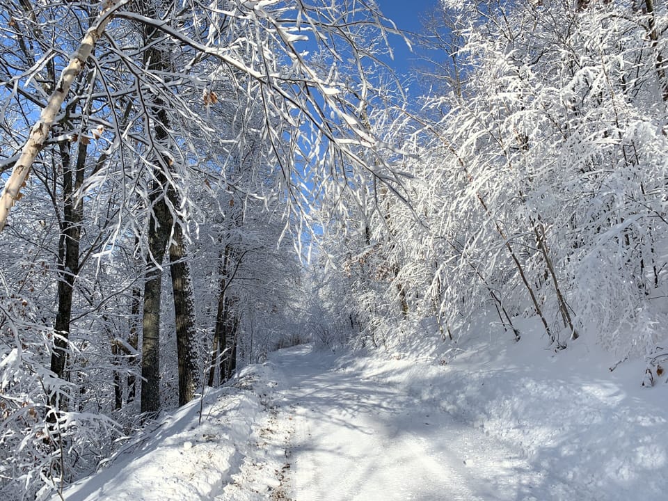 Drive carefully on Wolf Lane!