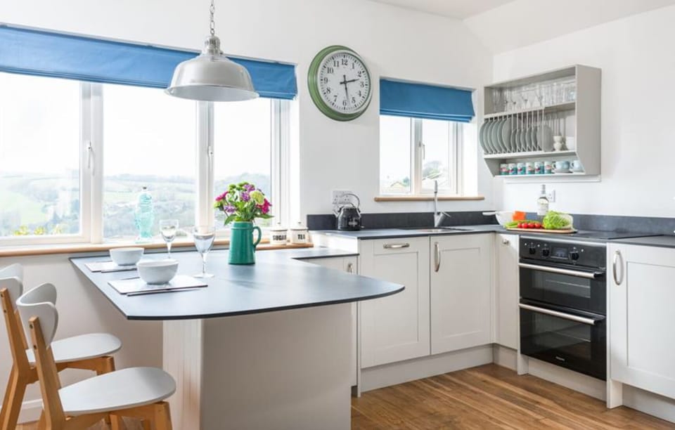 Kitchen, with double oven, dishwasher, fridge with icebox