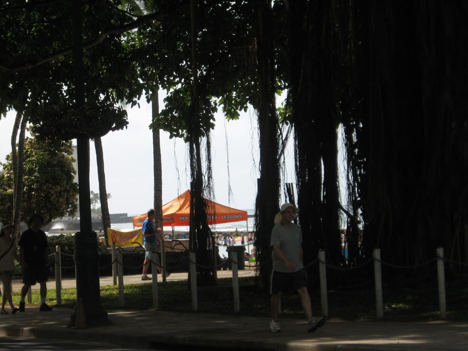 The famous Banyan Tree at the Hula Mound is just a 3 minute walk.